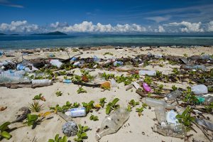  plastic pollution ocean