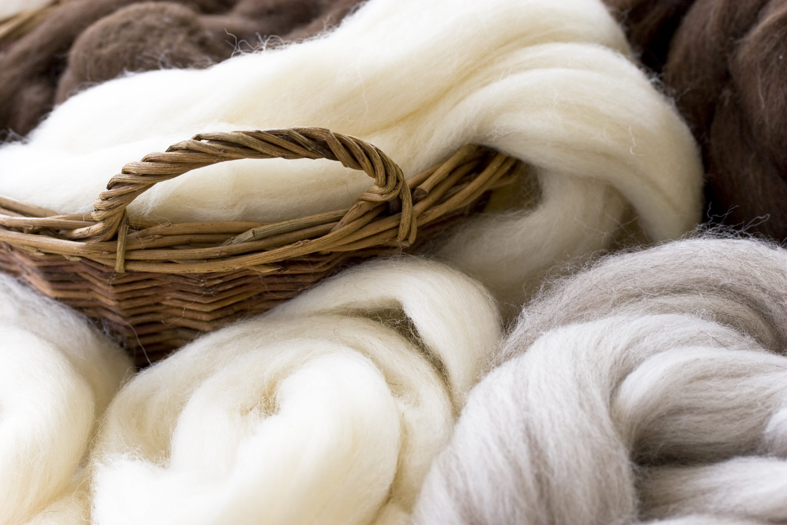 EcoWalk. Health Benefits of Natural Organic Fabrics (IV): Organic Wool ...