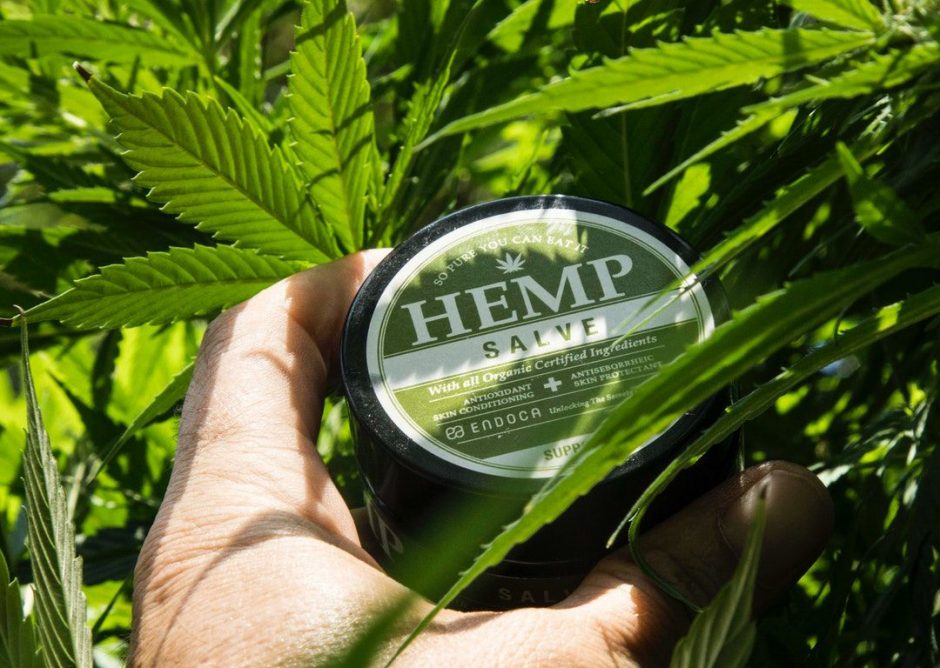 Hemp Heme and Other Sustainable Trends Your Brand Might Be Missing