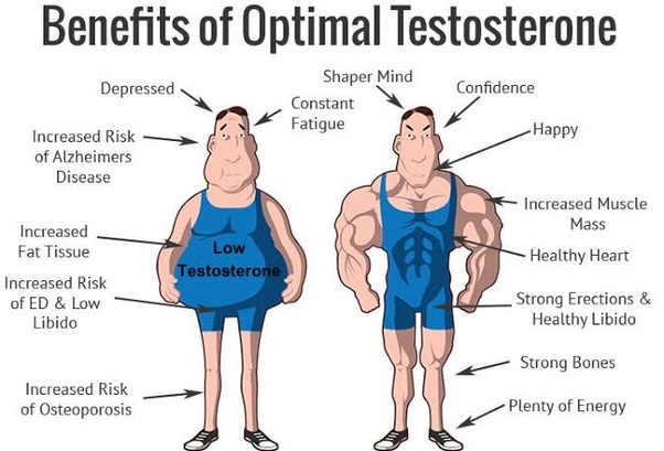 Benefits of Increasing Testosterone Levels
