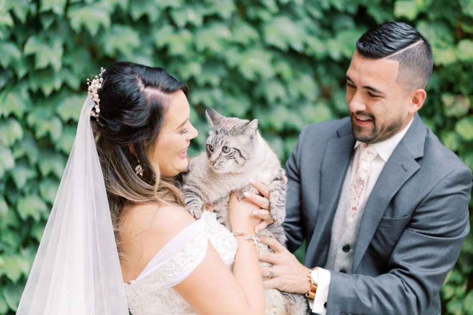 pet at your wedding