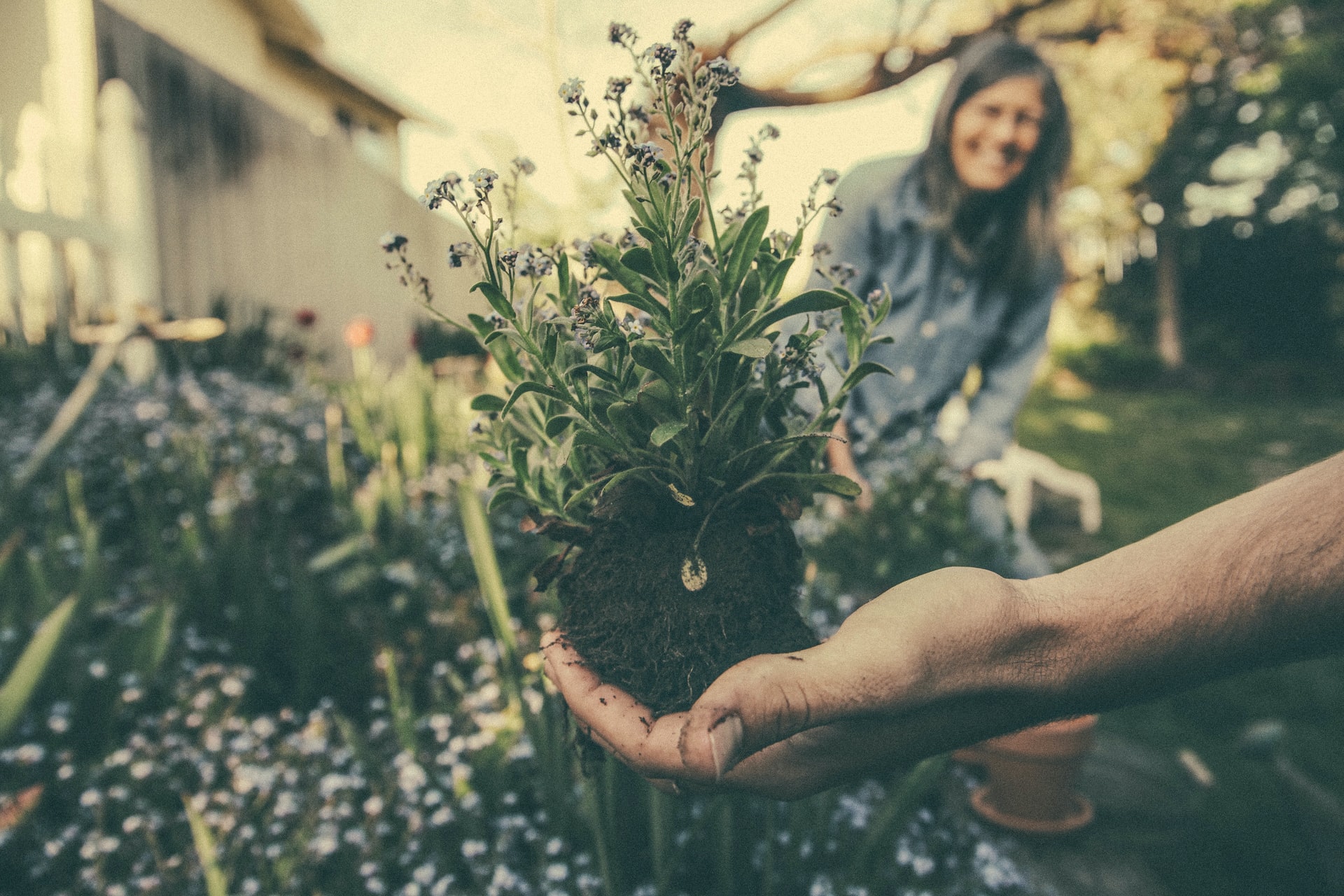 why gardening good for your health