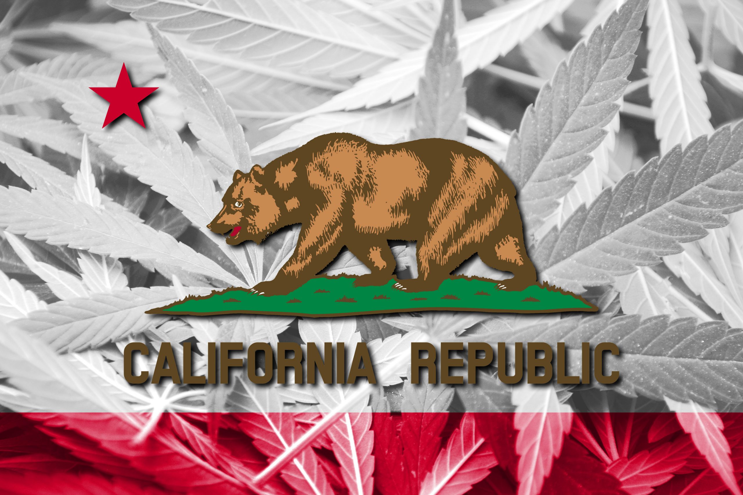 california state flag cannabis culture