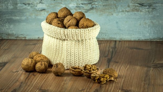 Crucial Foods for Human Health eat walnuts