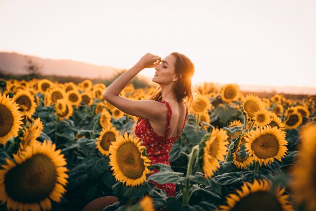 The Diverse Uses for Sunflowers