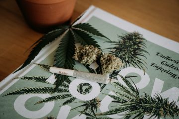 how to start cannabis business online