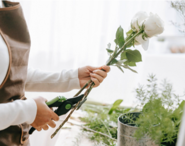 Buy flowers from an online Red Hill florist