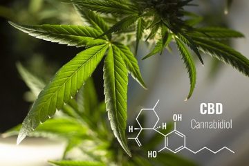 What Makes A Trusted CBD Brand