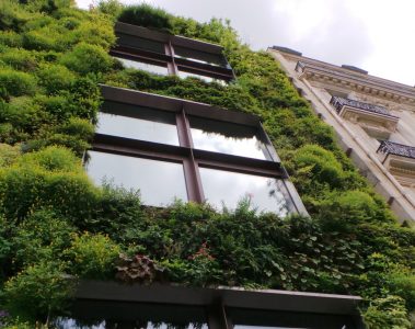 Save Energy with Living Wall Systems