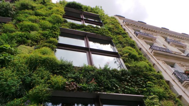Save Energy with Living Wall Systems