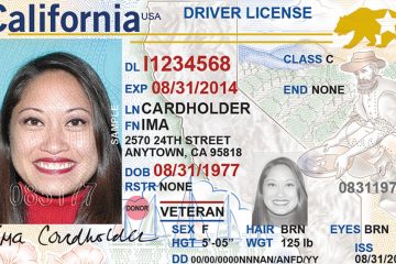 Understand The Novelty Government Id Cards