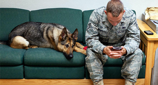 service dog and veteran with PTSD