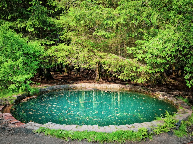 Incorporating A Pond Into Your Garden