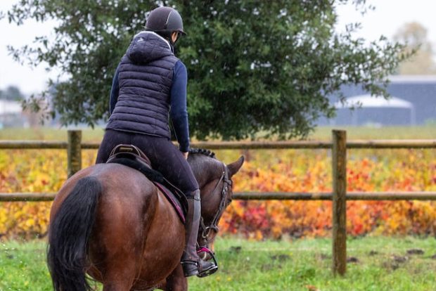 keep your horse comfortable during bad weather