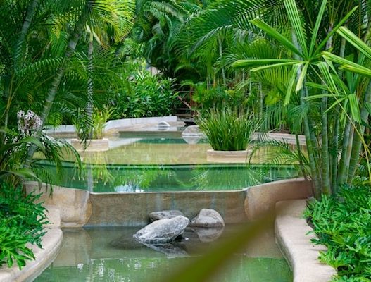 pond in the garden