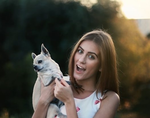 dog socialize with humans