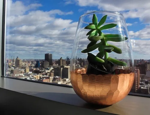 creating eco-friendly home