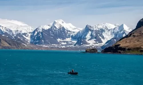 go on polar expedition