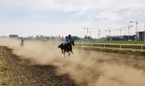 successful horse betting