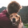 keep your dog healthy