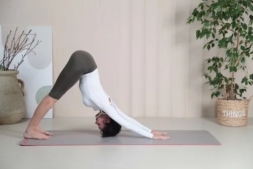 yoga and menopause - downward facing dog pose