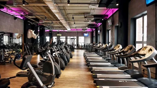 gym equipment