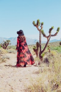"High Desert" by Abby Ward